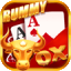 wow rummy live